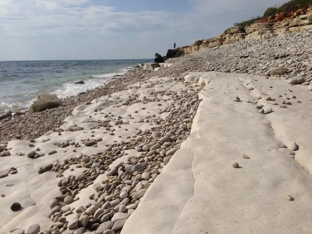 Guest House Mareda Palms Novigrad Istria Horvátország